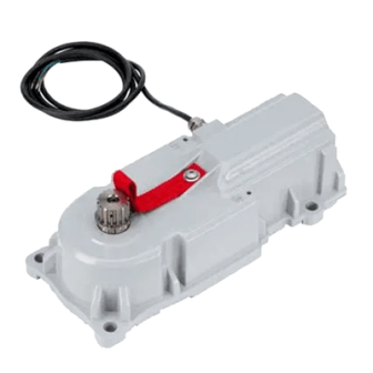 10675301 FAAC puertas...