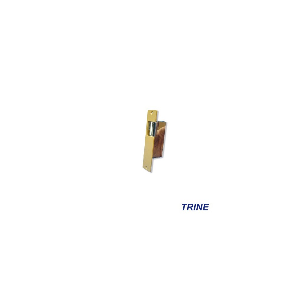 001 TRINE categoria 5e