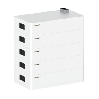 AXE50LC1 GROWATT baterias